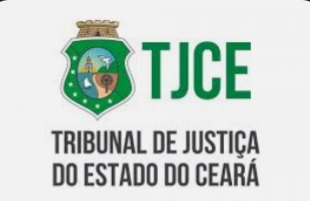  JUIZ de Direito da Vara Única de Campos Sales, suspende Eleição da Câmara Municipal de Salitre