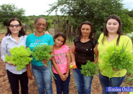  Mulheres produtoras de hortaliças de Simões, se reúnem e pedem apoios